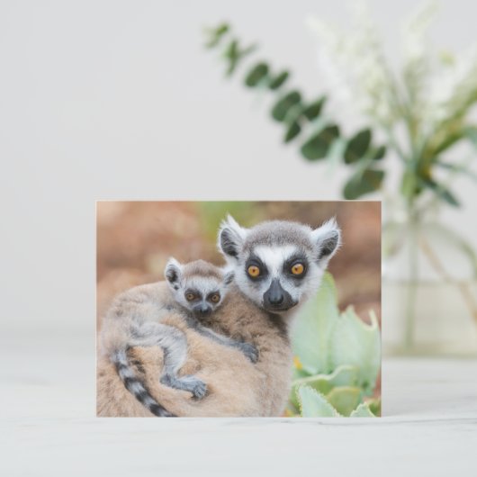 Klingelschwanz auf dem Rücken der Mutter Postkarte (Stehend Vorderseite)