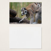 Klingelschwanzmutter und Baby (Vorne & Hinten)