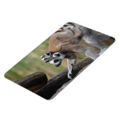 Klingelschwanzmutter und Baby Magnet (Linke Seite)