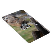 Klingelschwanzmutter und Baby Magnet (Rechte Seite)