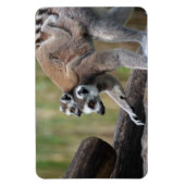 Klingelschwanzmutter und Baby Magnet (Vertikal)