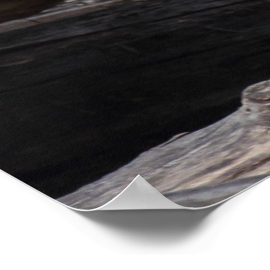 Klingelschwanzmutter und Baby Poster (Ecke)