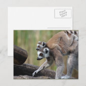 Klingelschwanzmutter und Baby Postkarte (Vorne/Hinten)