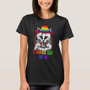 Klingt Gay Ich Bin Drin Katze Wortspiel Für Pride T-Shirt