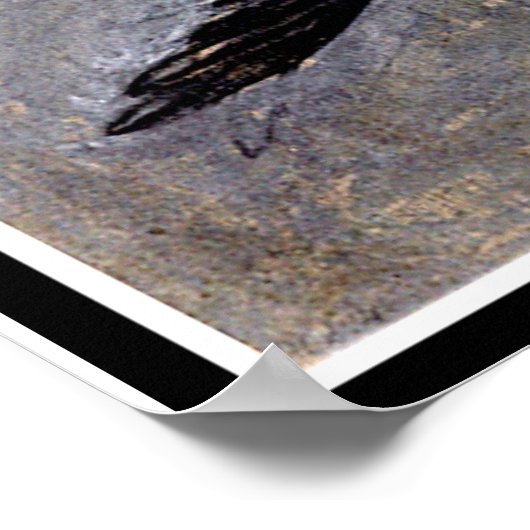 Klint - The Swan, No. 24, Group 1X SUW Poster (Ecke)