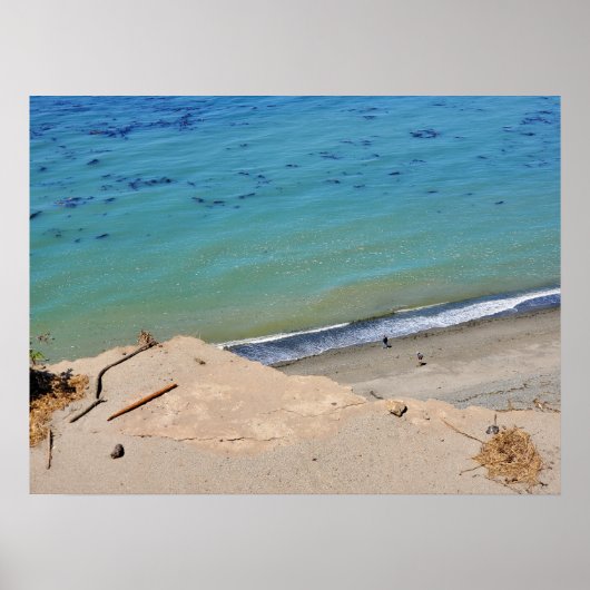 Klippe über Beachcombers bei Dungeness Wilderness Poster (Vorne)