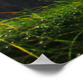 Klippen der Maus - Südansicht 3 Poster (Ecke)