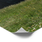 Klippen der Moher Poster (Ecke)
