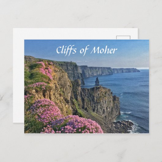 Klippen von Moher, Irland, Blume Postkarte (Vorne/Hinten)