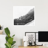 Klippenbewohner in Alaska 1906 Poster (Heimbüro)