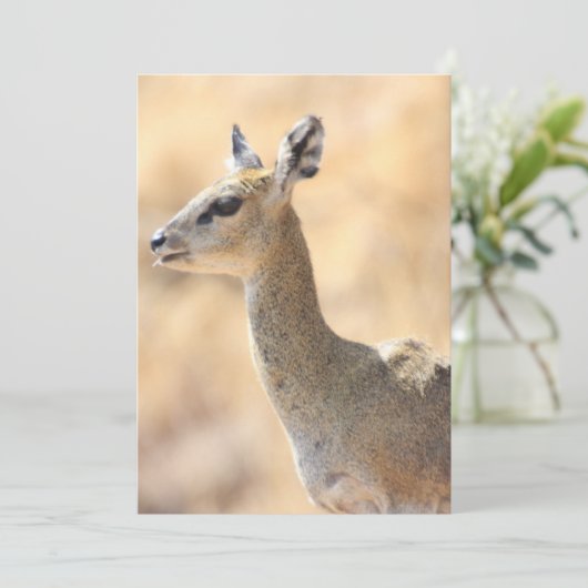 Klipspringer Feiertagskarte (Stehend Vorderseite)