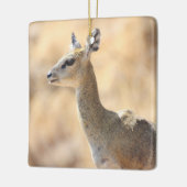 Klipspringer Keramikornament (Links)