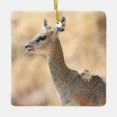 Klipspringer Keramikornament (Vorderseite)