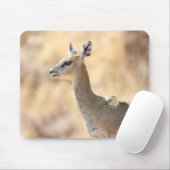 Klipspringer Mousepad (Mit Mouse)