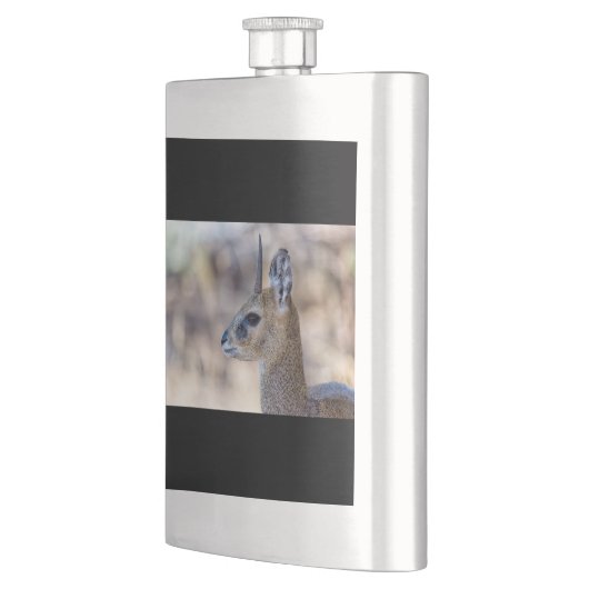 Klipspringer Portrait Flachmann (Links)