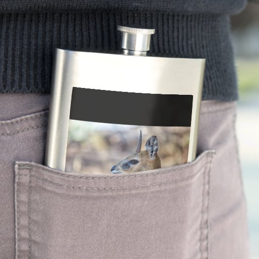 Klipspringer Portrait Flachmann (Beispiel)