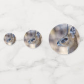 Klipspringer-Portrait Konfetti (Rückseiten)