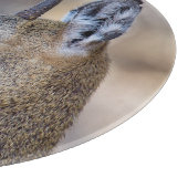 Klipspringer-Portrait Schneidebrett (Ecke)