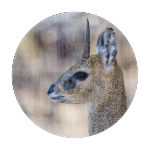 Klipspringer-Portrait Schneidebrett