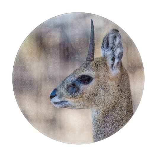 Klipspringer-Portrait Schneidebrett (Vorderseite)