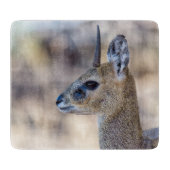 Klipspringer-Portrait Schneidebrett (Vorderseite)