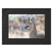 Klipspringer Portrait Tischdecke (Vorderseite (Horizontal))