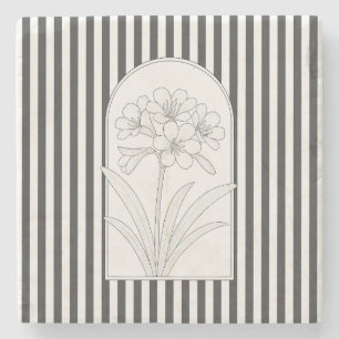 Klivia Elegante Blume Untersetzer Botanischer Stei