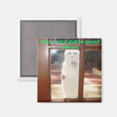 Klopfen Sie. Magnet (Vorderseite/Rückseite)