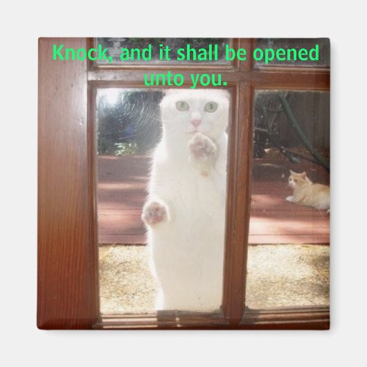 Klopfen Sie. Magnet (Vorne)