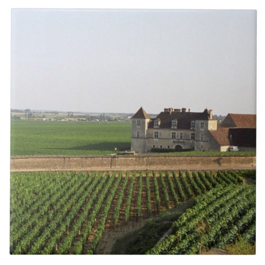 Kloster Clos de Vougeot aus dem 16. Jahrhundert un Fliese (Vorderseite)