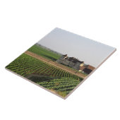 Kloster Clos de Vougeot aus dem 16. Jahrhundert un Fliese (Seite)