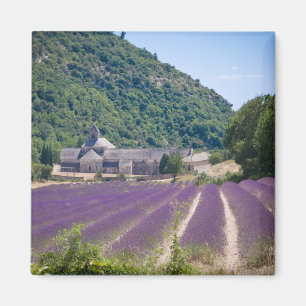 Kloster Magnet