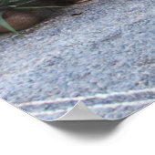 Kloster Toplou Kirchen Hof POSTER (Ecke)