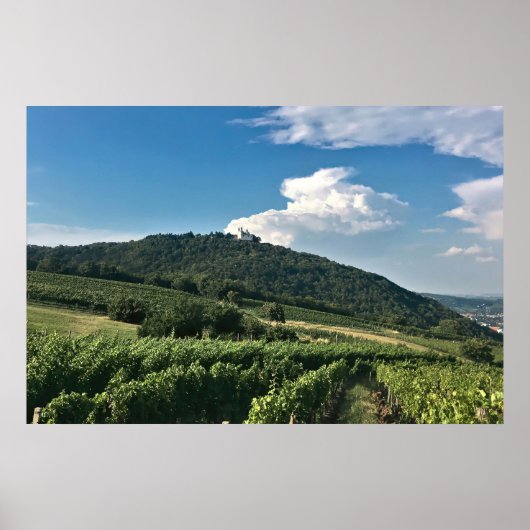 Kloster und Weinberg Poster (Vorne)