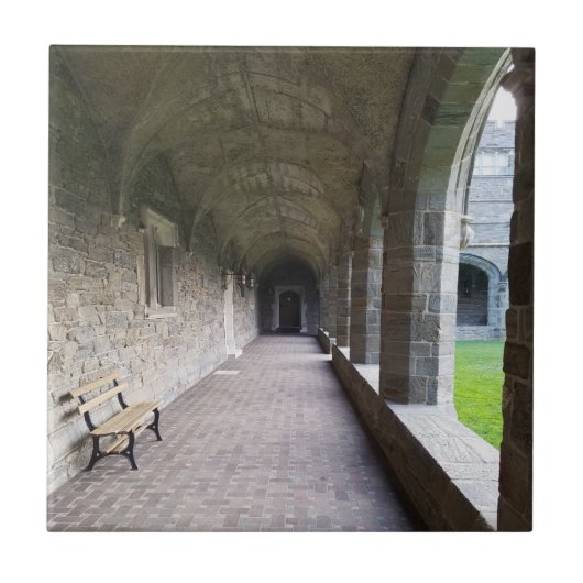 Klosterallee mit Schatten in Bryn Mawr Fliese (Vorderseite)