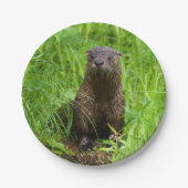 Kluger Fluss-Otter Pappteller (Vorderseite)