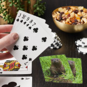 Kluger Fluss-Otter Spielkarten (In Situ)