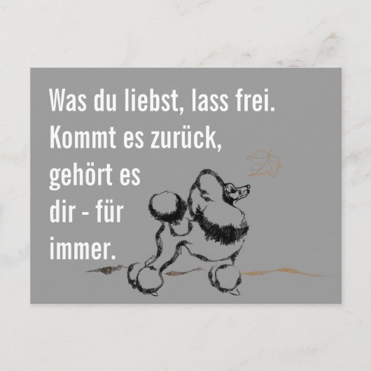 Kluger Pudel Postkarte (Vorderseite)