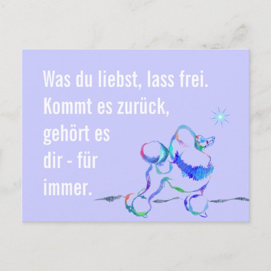 Kluger Pudel Postkarte (Vorderseite)