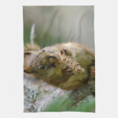 Kluges braunes Eichhörnchen – Waldtier Geschirrtuch (Vertikal)