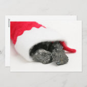 Klumpen Kohle, die aus Weihnachten ausströmen (Vorne/Hinten)