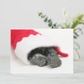 Klumpen Kohle, die aus Weihnachten ausströmen (Stehend Vorderseite)