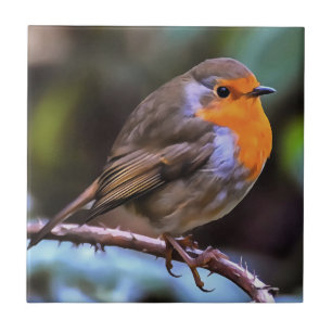 Klumpen Robin auf einem Zweig der Naturkunst Fliese