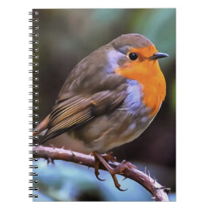 Klumpen Robin auf einem Zweig der Naturkunst Notizblock