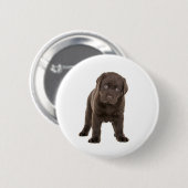 Klumpiger Schokoladen-Labrador-Welpe Button (Vorne & Hinten)