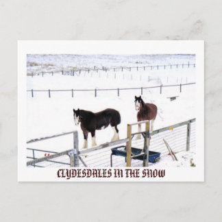 KLYDESDALEN IM SCHNEE POSTKARTE