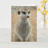 KMP Card 3 - Hemulen Moomins Karte (Gelbe Blume)