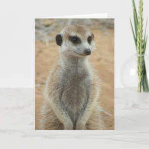 KMP Card 3 - Hemulen Moomins Karte