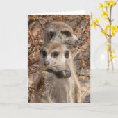 KMP Card 4 - Jo Jo Hello und Habusu Karte (Gelbe Blume)