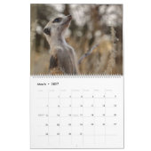 KMP Erdmännchen 2026 Kalender (Mär 2027)